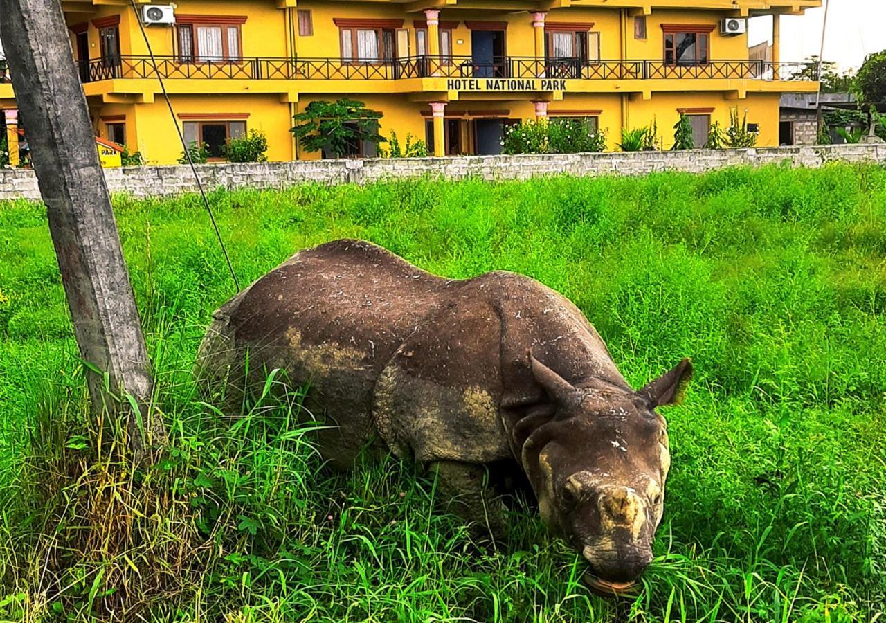Hotel National Park Sauraha- Homely Stay And Peaceful Location With Jungle Safari Arrangements Exterior foto