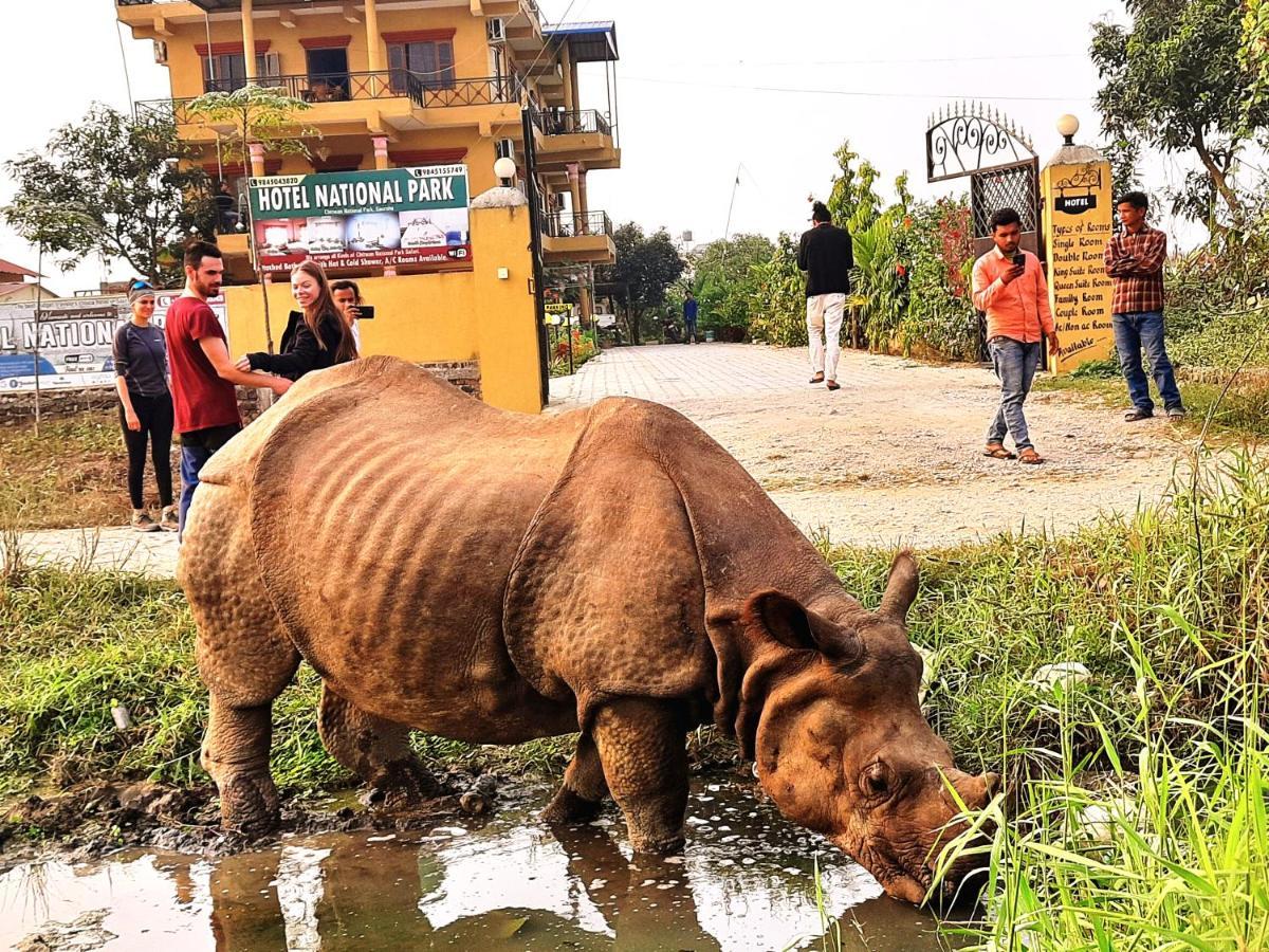 Hotel National Park Sauraha- Homely Stay And Peaceful Location With Jungle Safari Arrangements Exterior foto