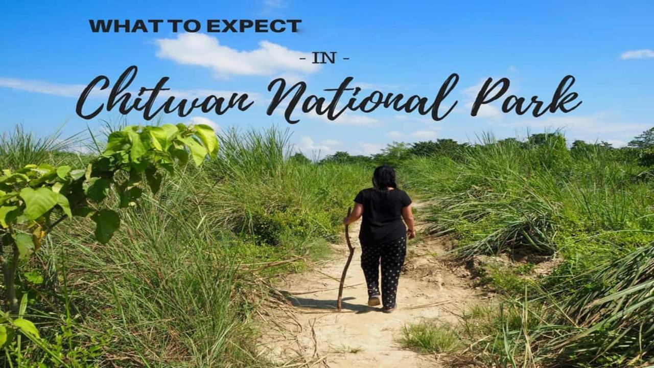 Hotel National Park Sauraha- Homely Stay And Peaceful Location With Jungle Safari Arrangements Exterior foto
